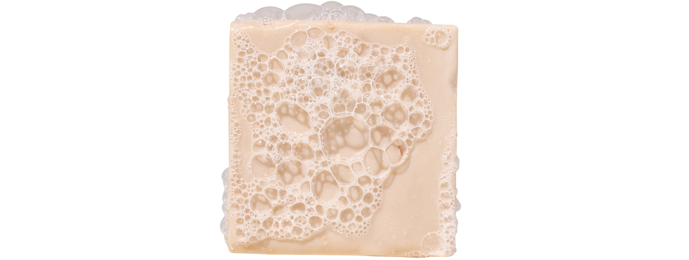 Coconut Castaway Mini N2
