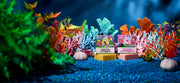 SpongeBob 4-Pack N8