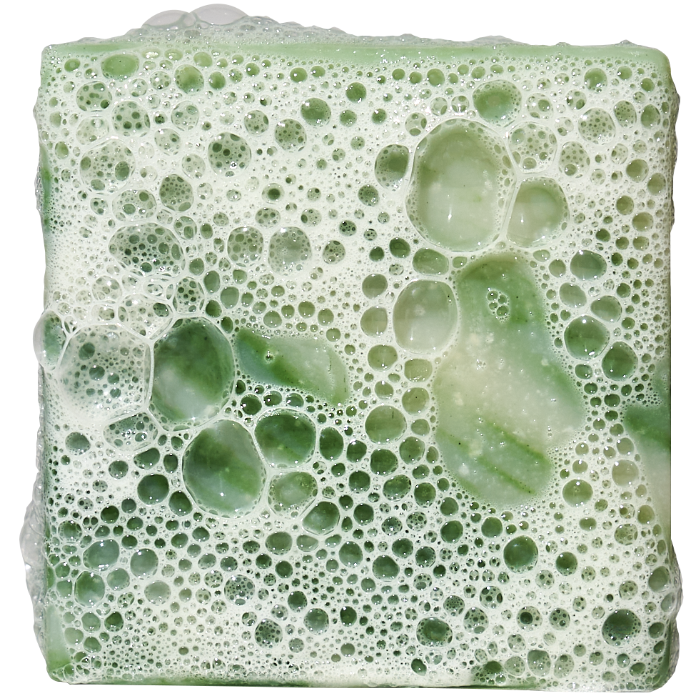 Cool Fresh Aloe Mini B1