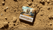 Bronco Bricc P8