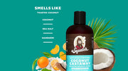 Coconut Castaway Conditioner Q6