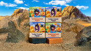 Dragon Ball Z 4-Pack P6