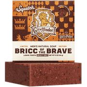 Bricc of the Brave J1