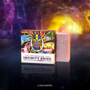 Infinity Bricc J6