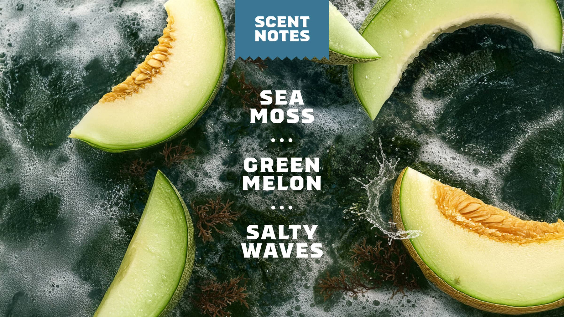 Coastal Mist Hand Soap W2