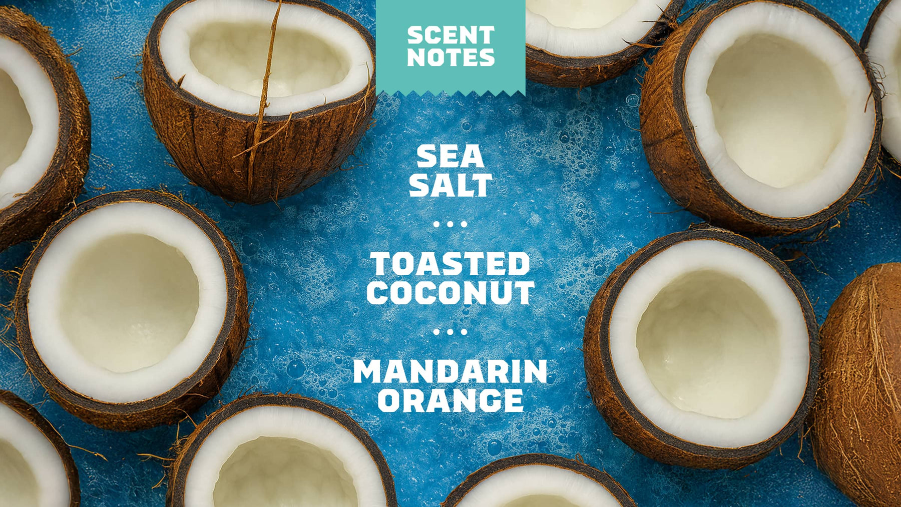 Coconut Castaway Deodorant S5