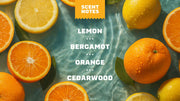 Summer Citrus Hand Soap P5
