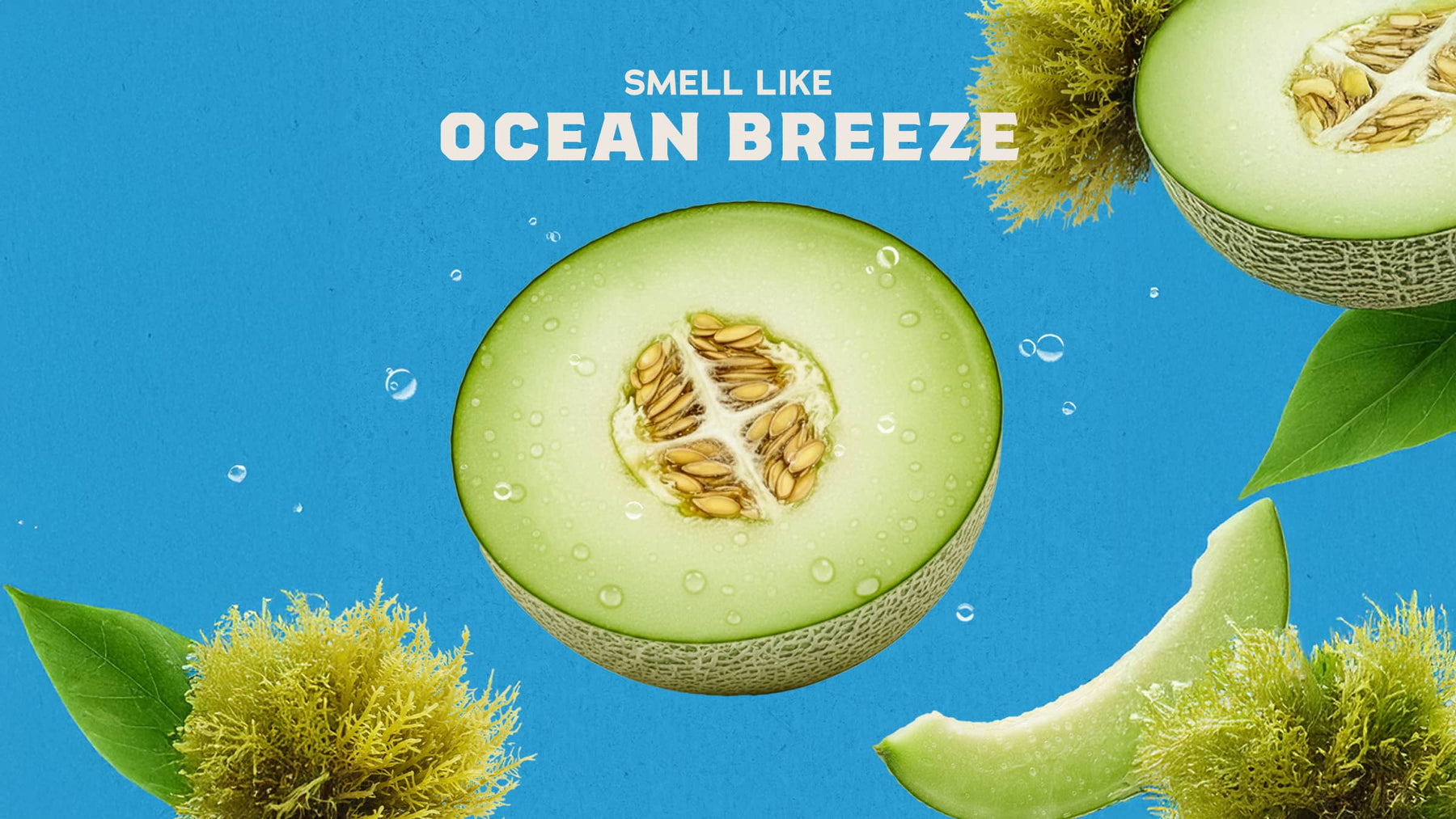 Coastal Mist Hand Soap W2