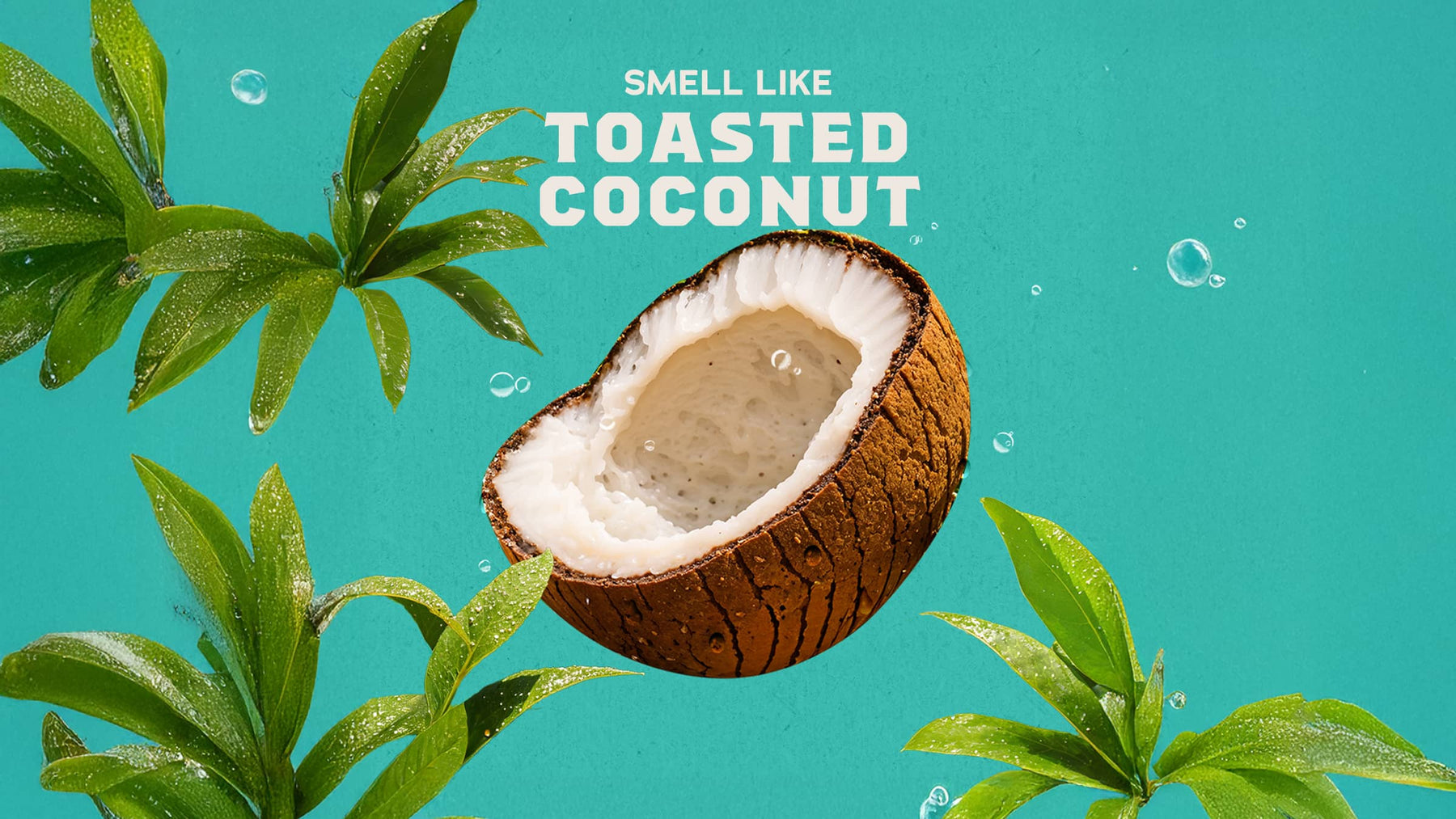 Coconut Castaway Deodorant S5