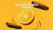 Summer Citrus Hand Soap P5