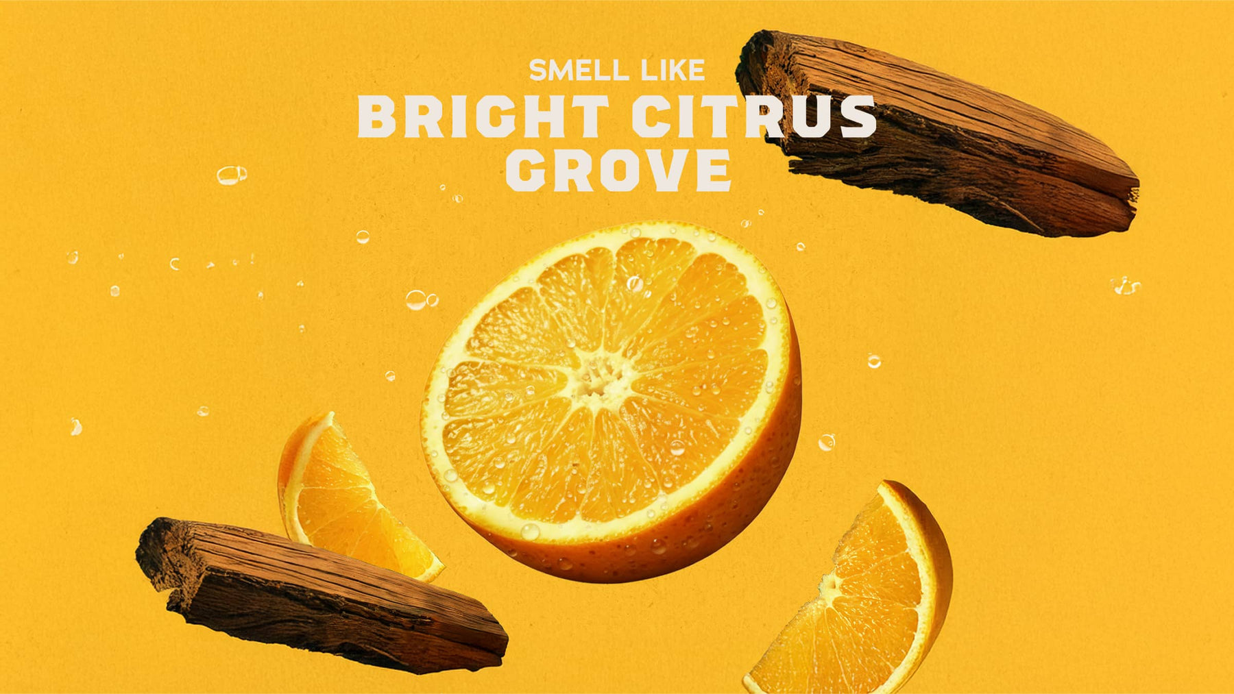 Summer Citrus Hand Soap P5