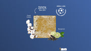 FIFA Golden Glory 3-Pack Bar Soap Bundle Y0